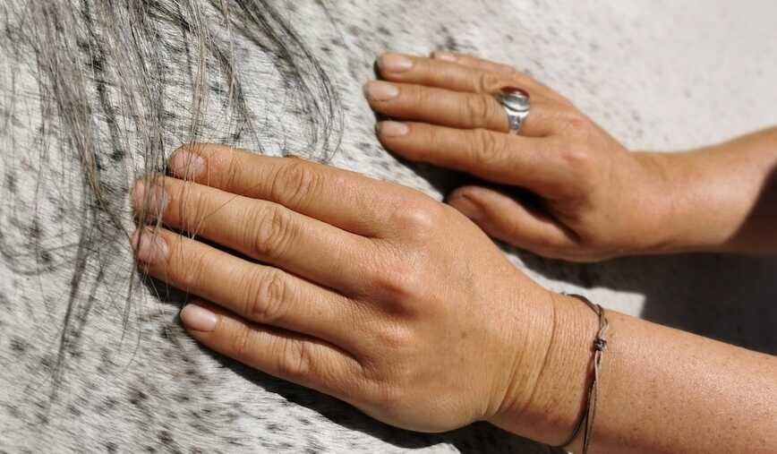 Das entgegengesetzte Schieben der Hände ist eine beliebte TuiNa Technik