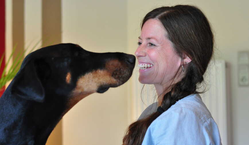 Entspannte Athmosphäre im gewohnten Zuhause für den Hund