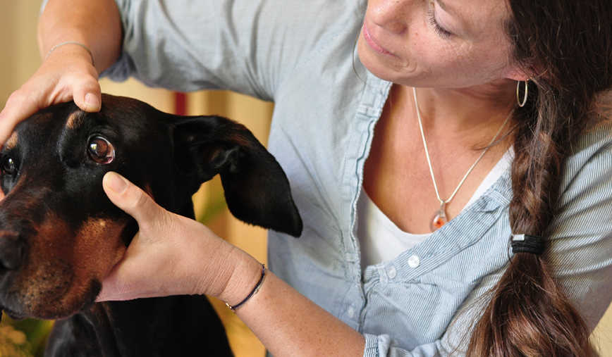 Zu einer vollständigen Anamnese nach TCM gehört immer auch der Blick auf die Schleimhäute