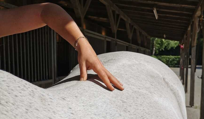 Pressen und Kneten, hier der Wirbelzwischenräume, gehört auch zu einer TuiNa Behandlung