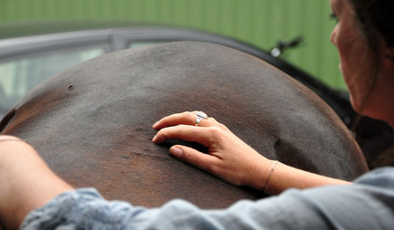 Die Reaktion auf das Abdrücken der Shu-Mu Punkte ist ein wichtiges Kriterium zur Erstellung der Diagnose