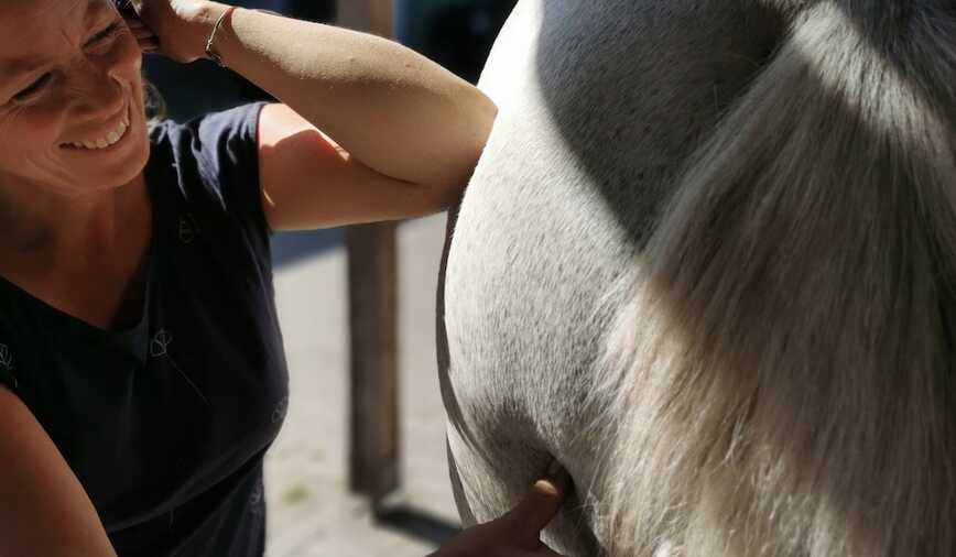 Eine effektive TuiNa Technik bei Hinterhandproblemen